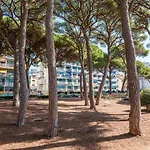 La Pineta By Interhome *